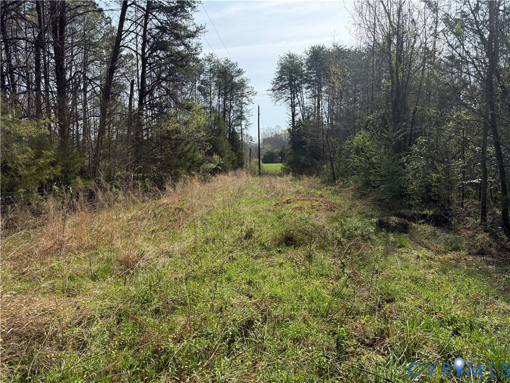 17226 Parsons Road Beaverdam, VA 23015 - Photo 3 of 19 Roadway Access & Easement to 3 Parcels