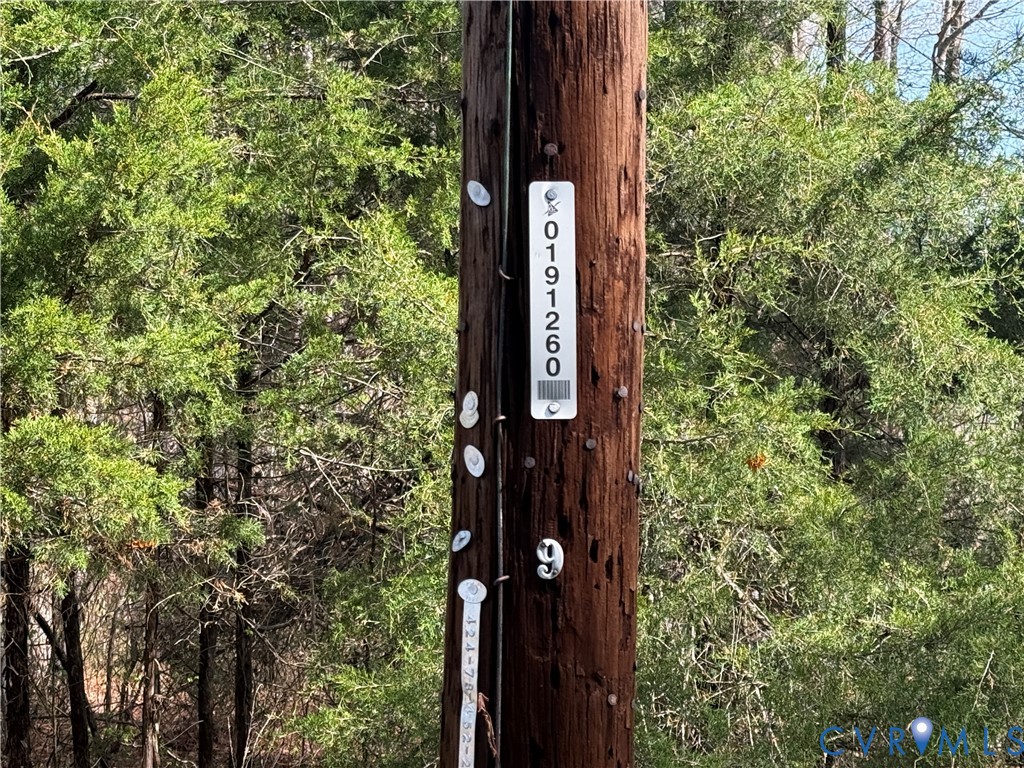 17226 Parsons Road Beaverdam, VA 23015 - Photo 4 of 19 Power Pole on ROW