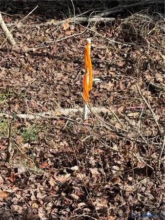 $684,900 | 17226 Parsons Road, Beaverdam, VA 23015