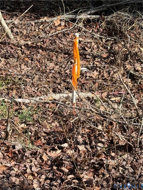 17226 Parsons Road Beaverdam, VA 23015 - Photo 5 of 19 Survey Marker