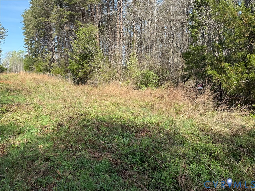 17226 Parsons Road Beaverdam, VA 23015 - Photo 6 of 19 Cleared aArea along Parsons Road Frontage