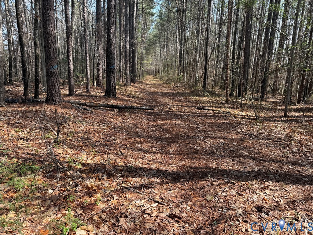 17226 Parsons Road Beaverdam, VA 23015 - Photo 7 of 19 Driveable Road