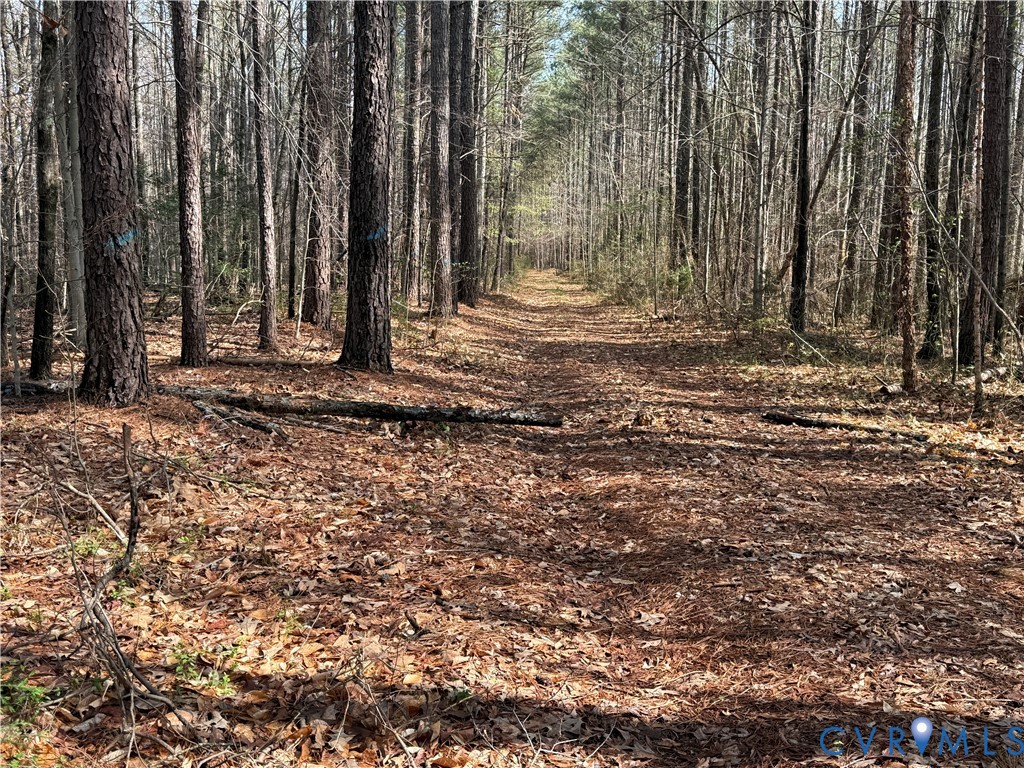 17226 Parsons Road Beaverdam, VA 23015 - Photo 8 of 19