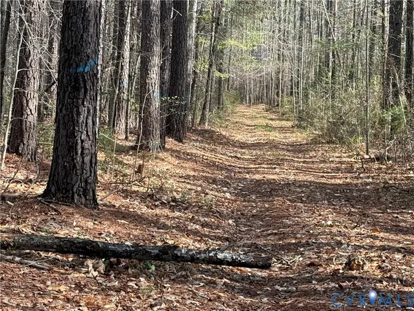 $684,900 | 17226 Parsons Road, Beaverdam, VA 23015