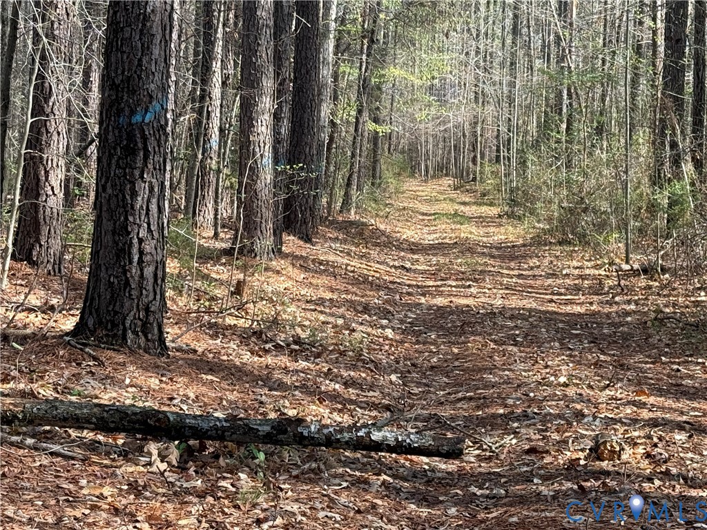 17226 Parsons Road Beaverdam, VA 23015 - Photo 9 of 19