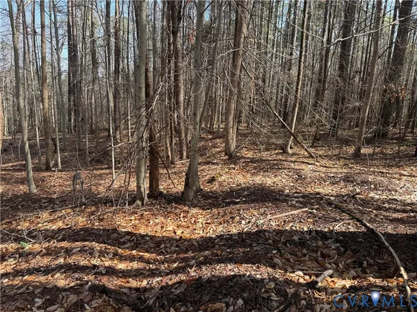 $684,900 | 17226 Parsons Road, Beaverdam, VA 23015