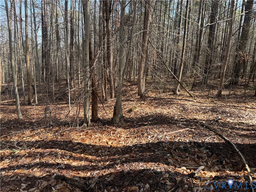 17226 Parsons Road Beaverdam, VA 23015 - Photo 10 of 19