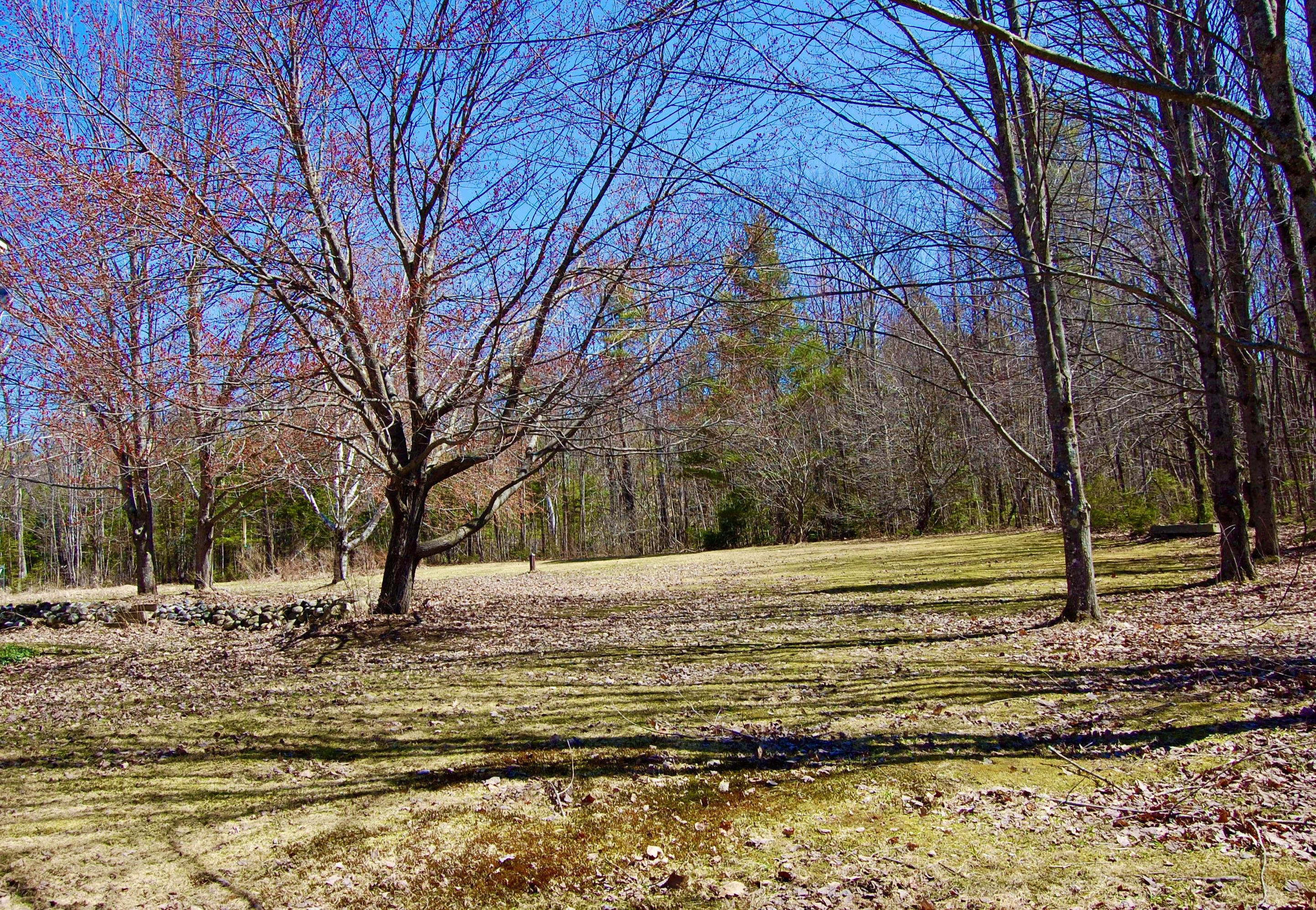 346 Cape Cod Hill Road New Sharon, ME 04955 - Photo 56 of 67 yard1