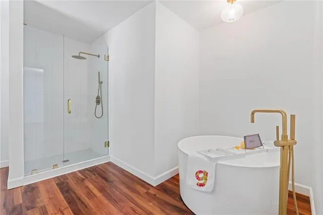 a view of a yard with plants and large trees