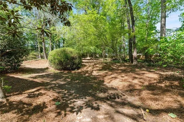 a view of a yard with large trees
