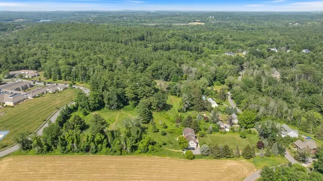 a view of a city with lush green forest