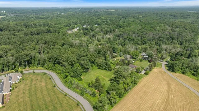 a view of a forest from a balcony
