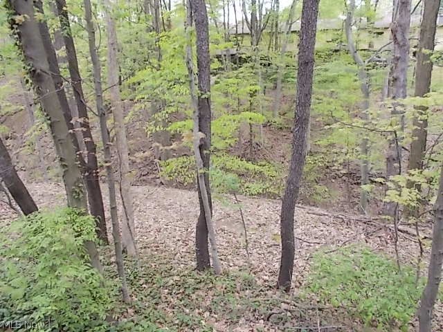 768 Hampton Ridge Drive Akron, OH 44313 - Photo 4 of 23 Gallery Image 4