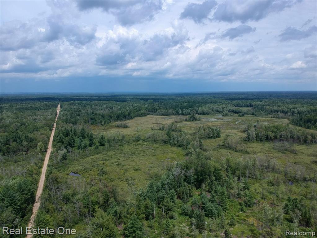 0 South Morrison Road West Branch, MI 48661 - Photo 16 of 38