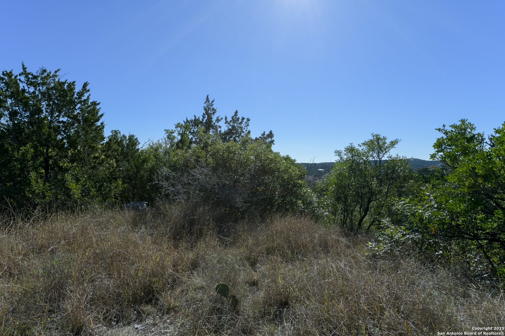 11266 Condor Pass Helotes, TX 78023 - Photo 6 of 7