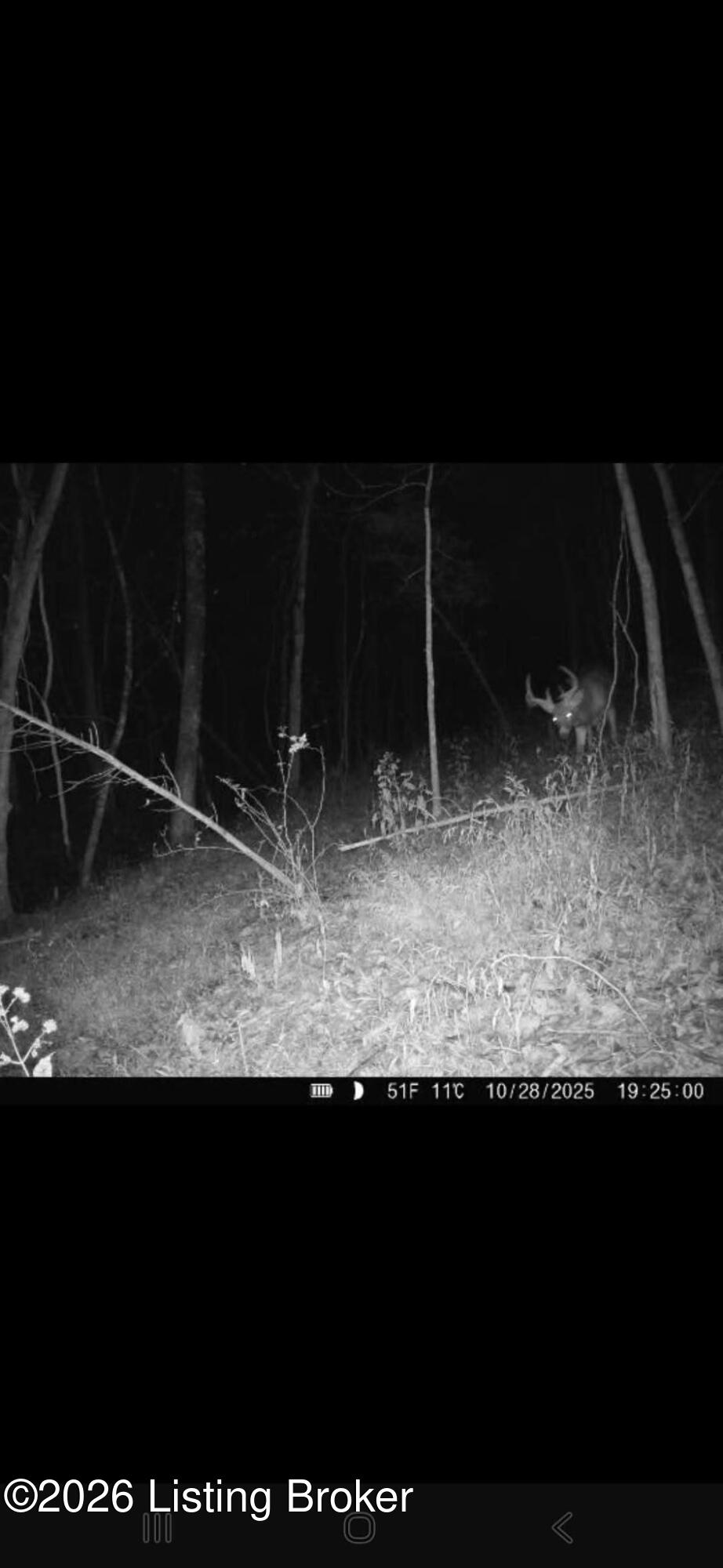 1655 Stewart Ridge Road Sparta, KY 41086 - Photo 31 of 31 FB_IMG_1776901816234