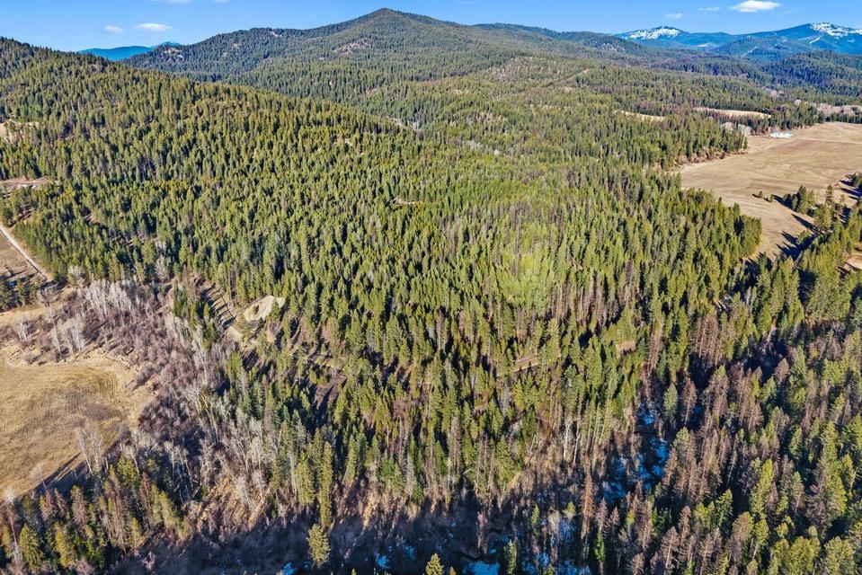 2845 Burnt Valley Road Chewelah, WA 99109 - Photo 11 of 16