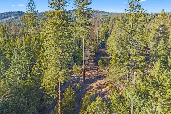 $142,500 | 2845 Burnt Valley Road, Chewelah, WA 99109