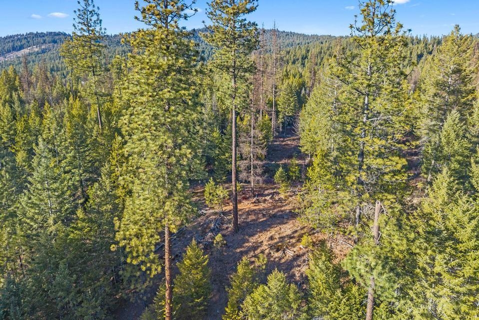 2845 Burnt Valley Road Chewelah, WA 99109 - Photo 13 of 16