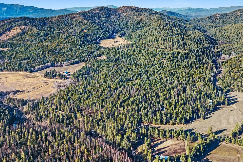 2845 Burnt Valley Road Chewelah, WA 99109 - Photo 4 of 16