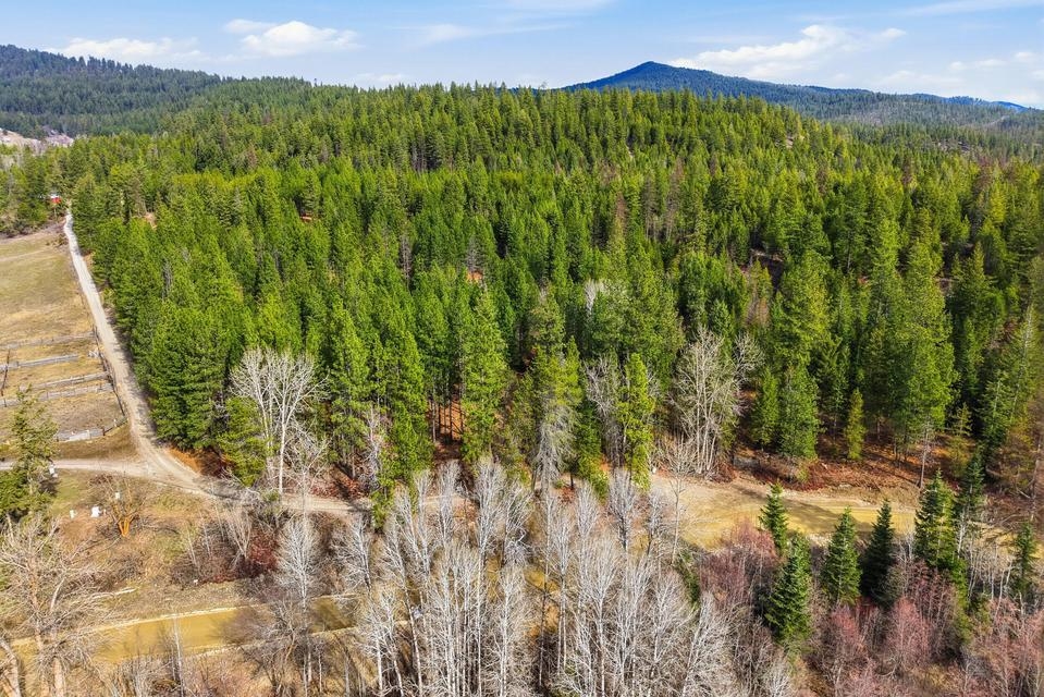 2845 Burnt Valley Road Chewelah, WA 99109 - Photo 6 of 16