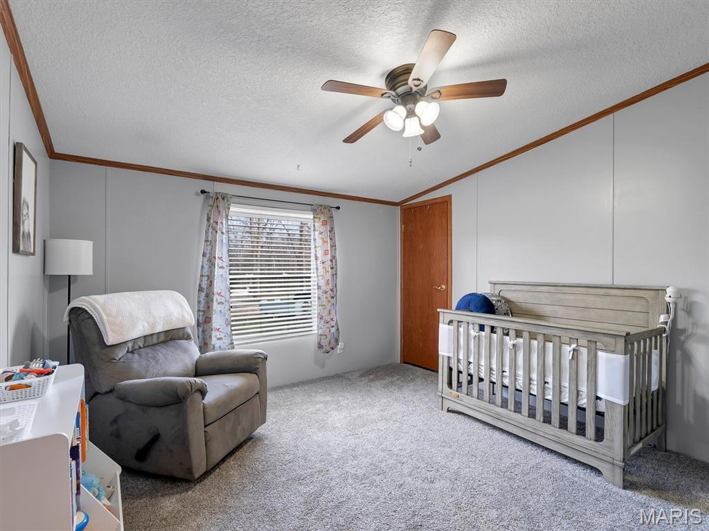 177 Pinnacle Lake Road New Florence, MO 63363 - Photo 21 of 34