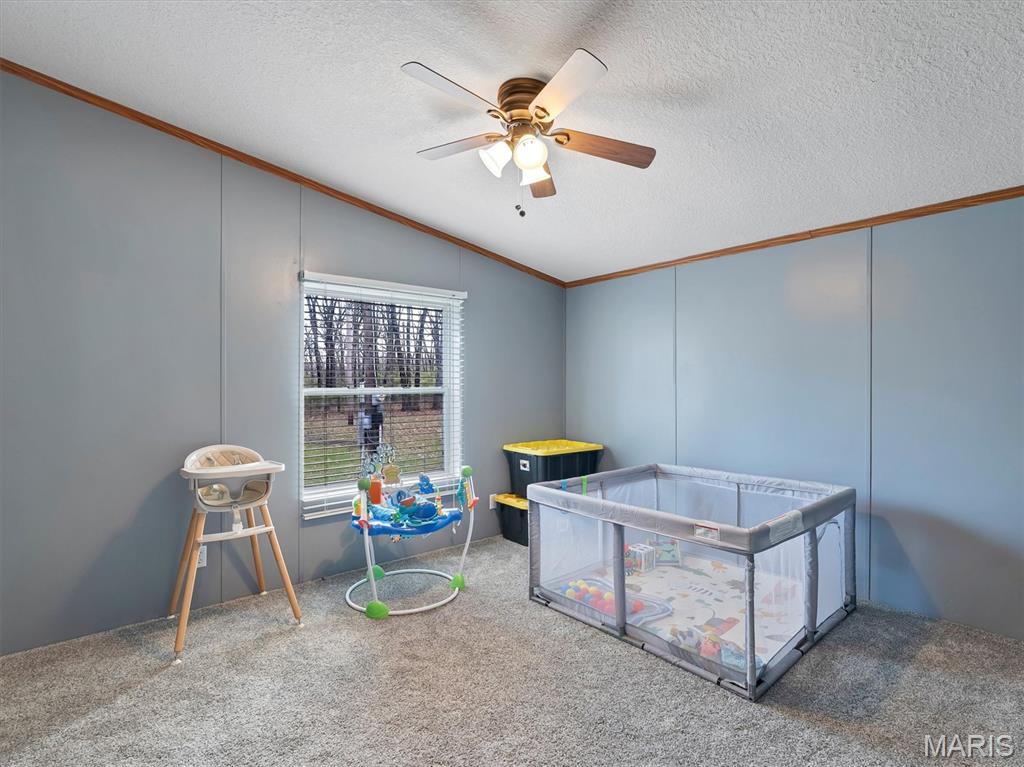 177 Pinnacle Lake Road New Florence, MO 63363 - Photo 23 of 34