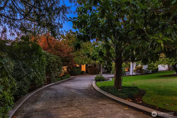 a view of a park with tree s