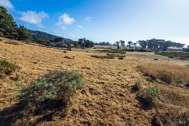 a view of a lake with houses in the back