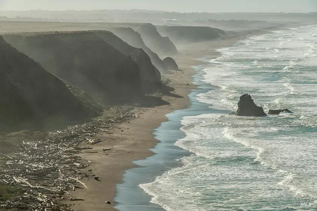 a view of a garden with an outdoor space