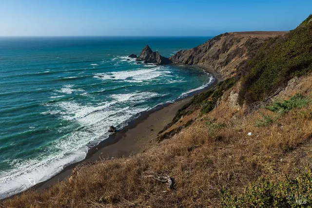 a view of a garden with an outdoor space