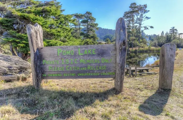 a view of a park with tree s
