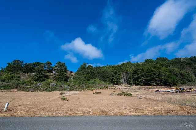 a view of a dry yard with trees