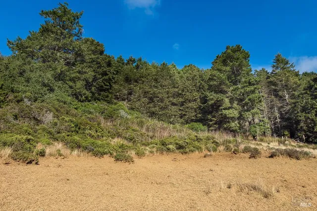 a view of a yard covered in snow