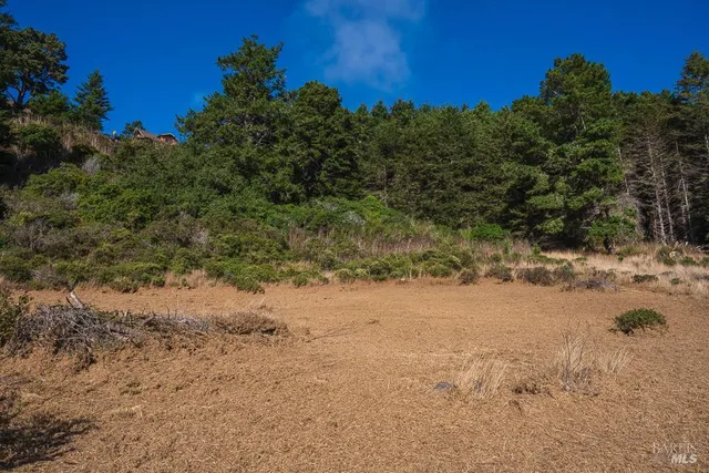 a view of a yard covered in snow