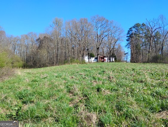 2331 Kesler Road Carnesville, GA 30521 - Photo 4 of 50 a view of a field with large trees