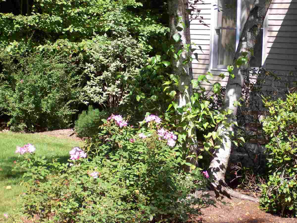 44 Stratham Green Road, Unit 44 Stratham, NH 03885 - Photo 8 of 30