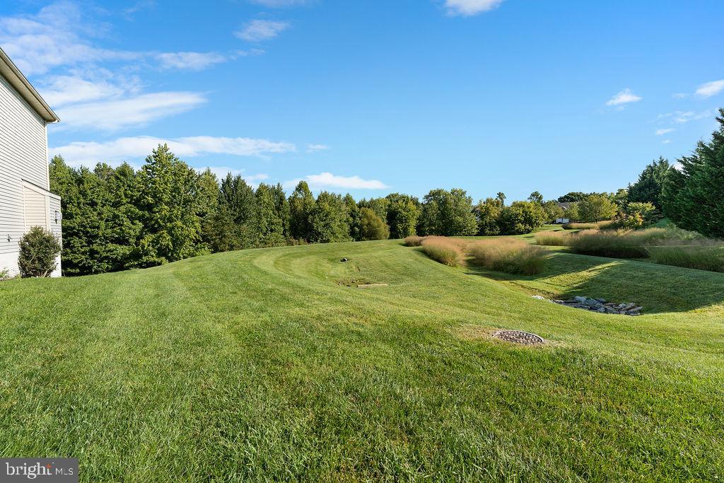 12632 Bright Spring Way Boyds, MD 20841 - Photo 42 of 42 backs to community grounds for sense of space
