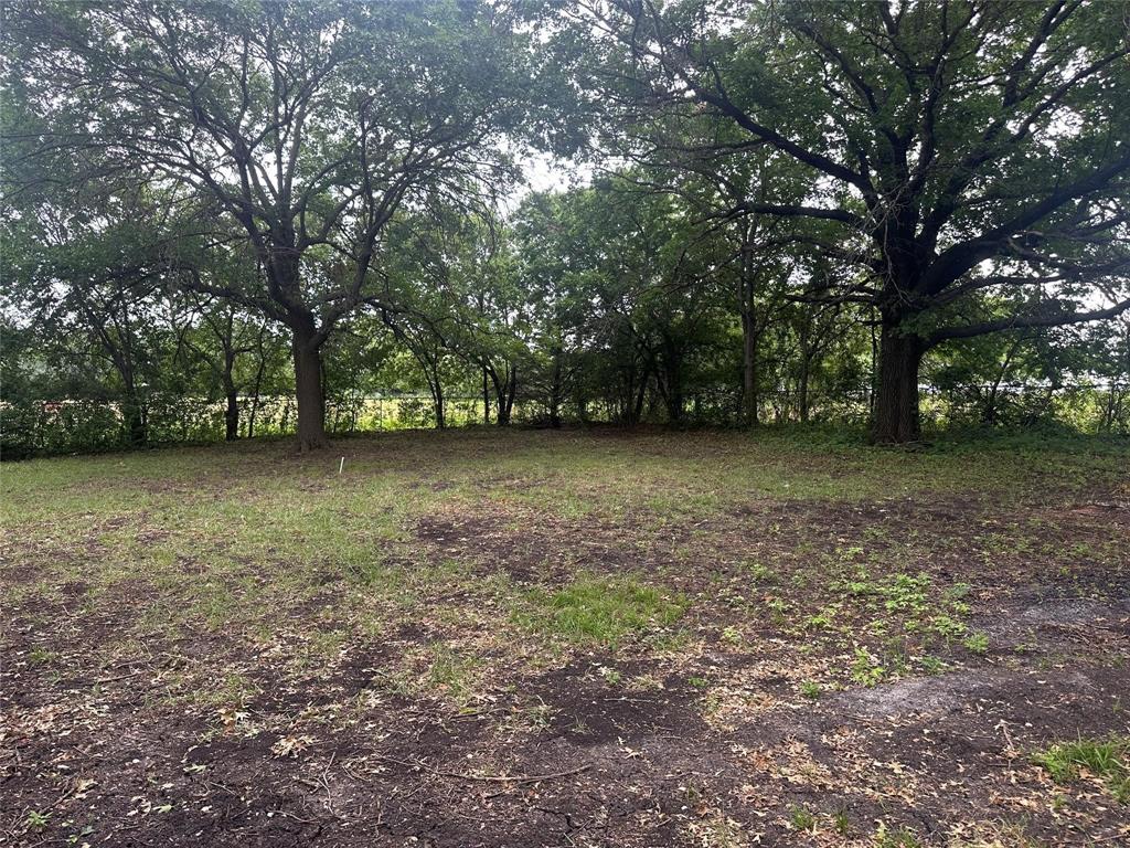 4723 North Loy Lake Road Sherman, TX 75092 - Photo 15 of 16 a view of a yard with a trees