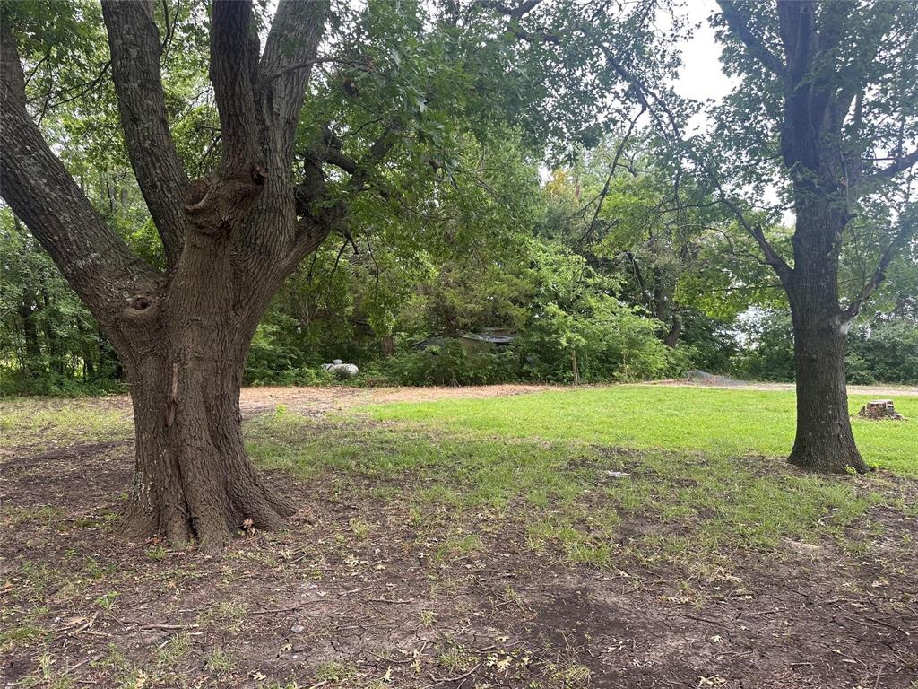 4723 North Loy Lake Road Sherman, TX 75092 - Photo 16 of 16 a view of outdoor space and trees