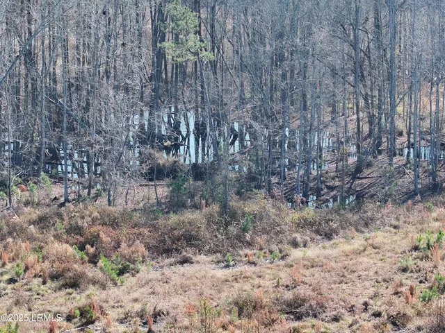 $536,000 | Tbd Midway Street, Bamberg, SC 29003