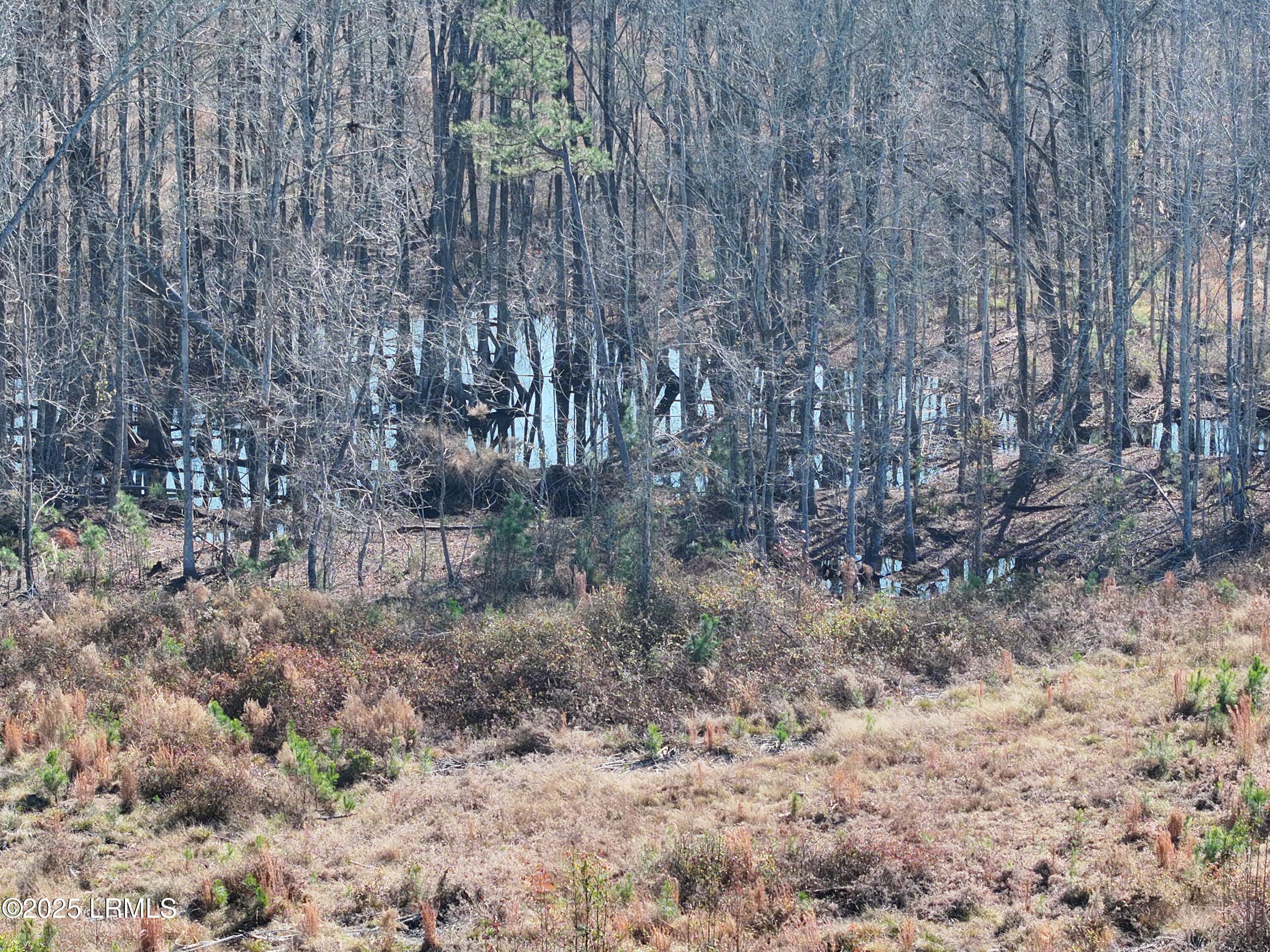 Tbd Midway Street Bamberg, SC 29003 - Photo 8 of 12 org_240ece6d7db26e0c_1765645808000