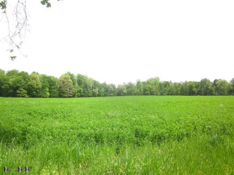 South Ferris Road Greenville, MI 48838 - Photo 1 of 1 Primary Photo