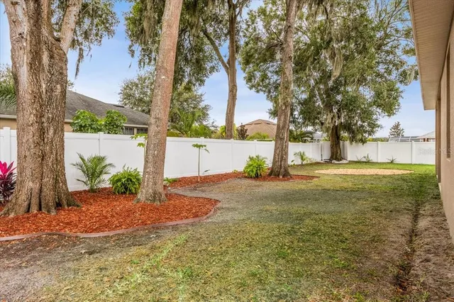 a view of a yard with plants and trees