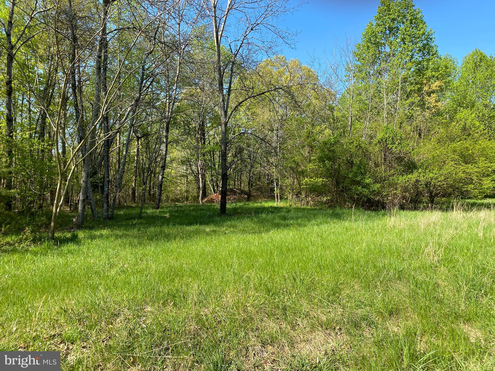 Ensors Shop Road Midland, VA 22728 - Photo 3 of 12 Gallery Image 3