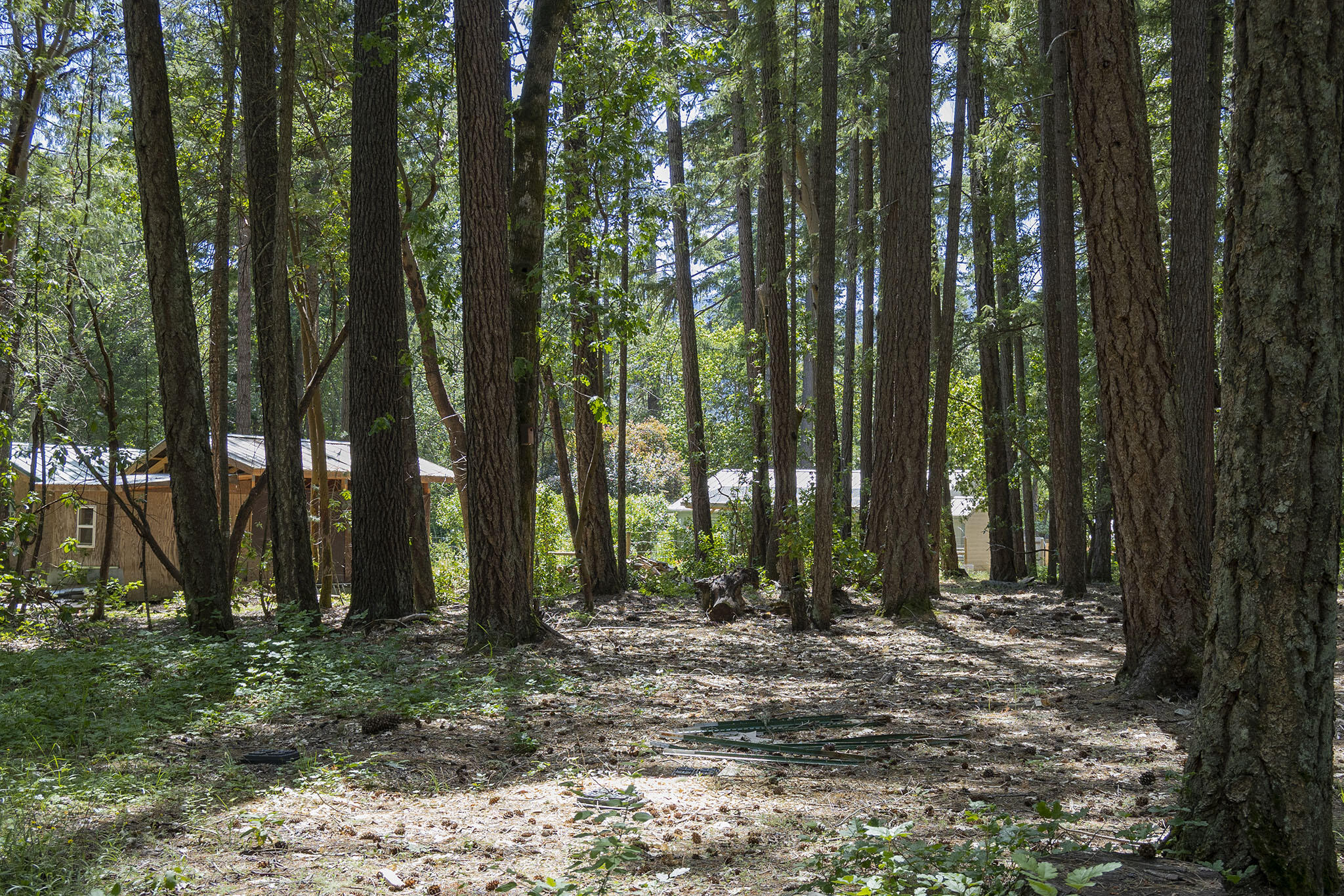 401 China Creek Road Williams, OR 97544 - Photo 42 of 61 42