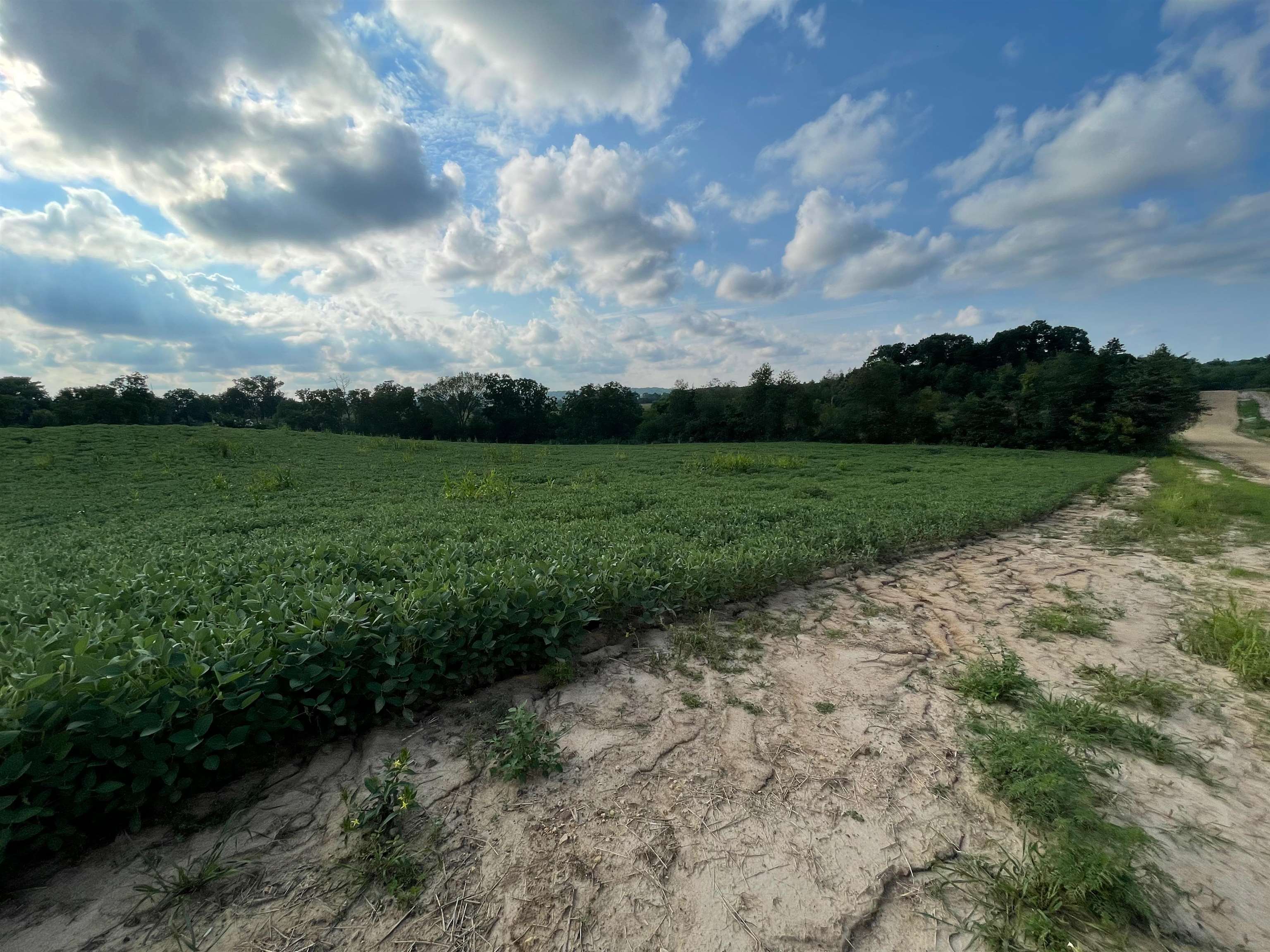 Lot 2 Sunset Trace Tomah, WI 54660 - Photo 2 of 9