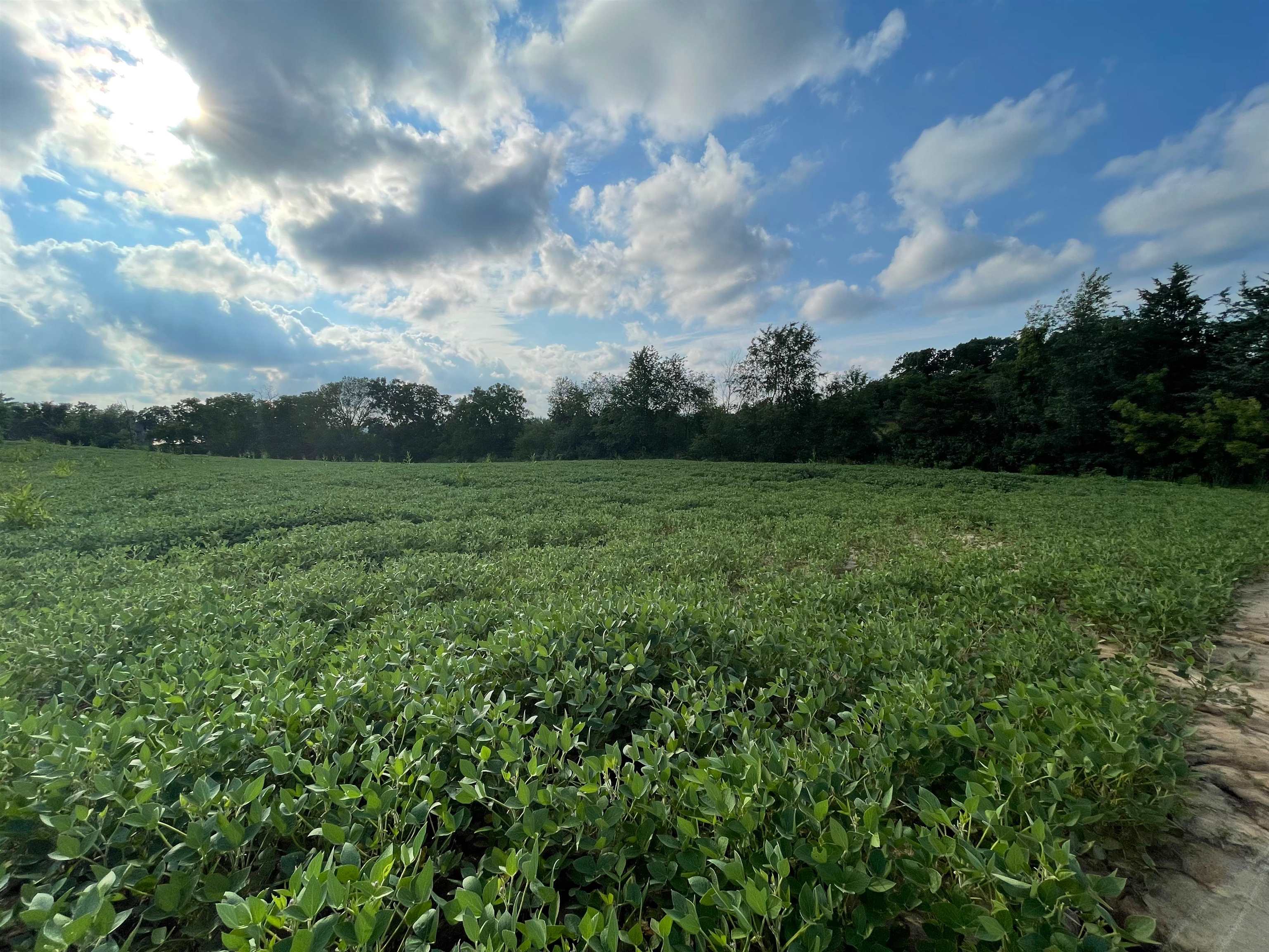 Lot 2 Sunset Trace Tomah, WI 54660 - Photo 3 of 9