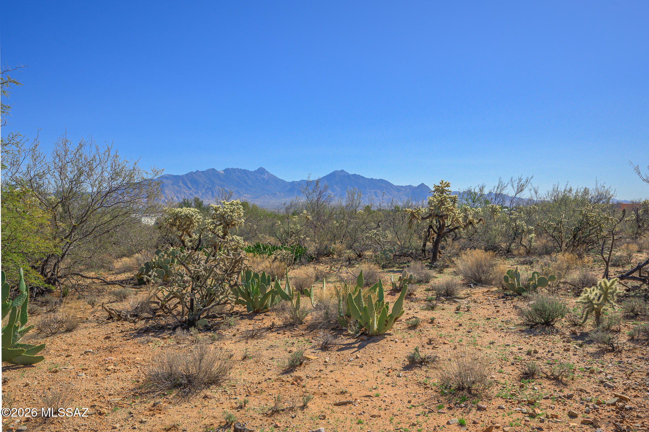 711 West Continental Road, Unit 98 Green Valley, AZ 85622 - Photo 24 of 24