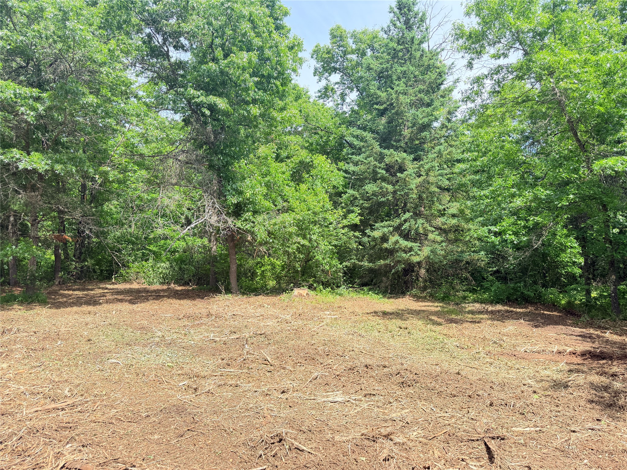0 Peterson Road Ladysmith, WI 54848 - Photo 10 of 19